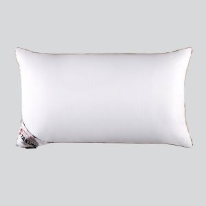 長絲記憶枕+乳膠(單入)